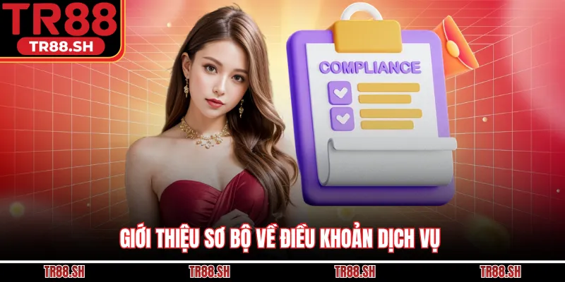 Giới thiệu sơ bộ về điều khoản dịch vụ 